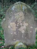 image of grave number 364061